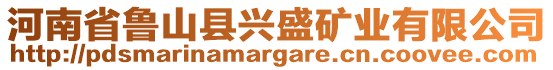 河南省魯山縣興盛礦業(yè)有限公司