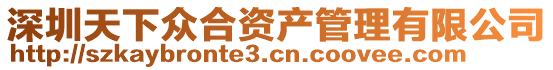 深圳天下眾合資產管理有限公司