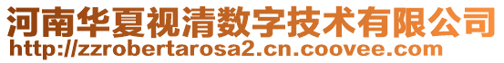 河南华夏视清数字技术有限公司