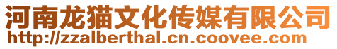 河南龍貓文化傳媒有限公司
