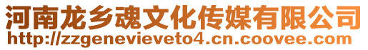河南龍鄉魂文化傳媒有限公司