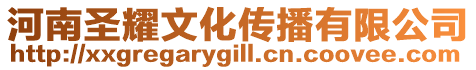 河南圣耀文化傳播有限公司
