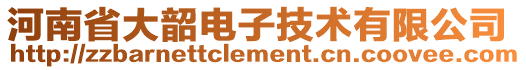 河南省大韶電子技術(shù)有限公司