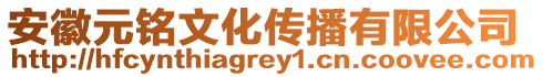 安徽元銘文化傳播有限公司