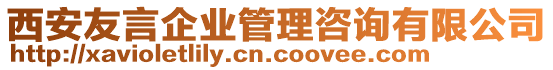 西安友言企業(yè)管理咨詢有限公司