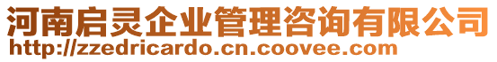 河南啟靈企業(yè)管理咨詢有限公司