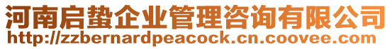 河南啟蟄企業管理咨詢有限公司