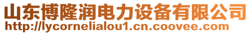 山東博隆潤電力設(shè)備有限公司