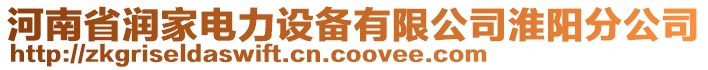 河南省潤家電力設備有限公司淮陽分公司