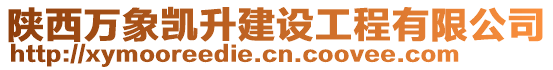 陕西万象凯升建设工程有限公司