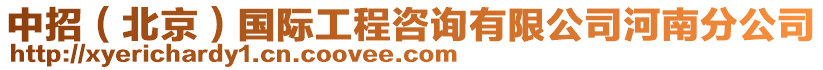 中招（北京）國(guó)際工程咨詢有限公司河南分公司