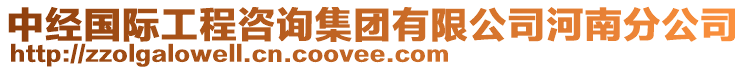 中經(jīng)國(guó)際工程咨詢集團(tuán)有限公司河南分公司