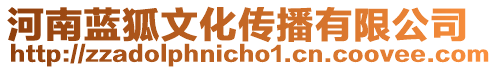 河南藍(lán)狐文化傳播有限公司