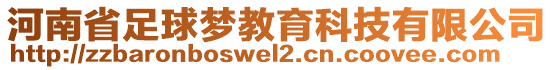 河南省足球夢(mèng)教育科技有限公司