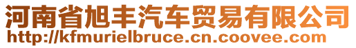 河南省旭豐汽車貿(mào)易有限公司