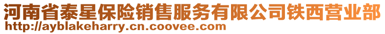 河南省泰星保險銷售服務有限公司鐵西營業(yè)部