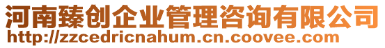 河南臻創(chuàng)企業(yè)管理咨詢有限公司