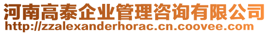 河南高泰企業(yè)管理咨詢有限公司