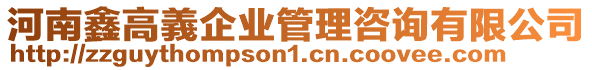 河南鑫高義企業(yè)管理咨詢有限公司