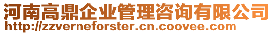 河南高鼎企業(yè)管理咨詢有限公司