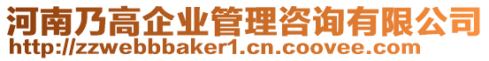 河南乃高企業(yè)管理咨詢有限公司