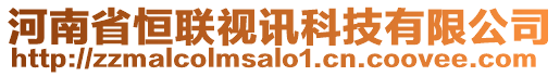 河南省恒聯(lián)視訊科技有限公司