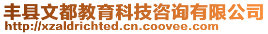 豐縣文都教育科技咨詢有限公司