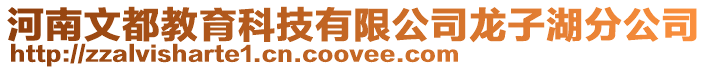河南文都教育科技有限公司龍子湖分公司