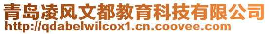 青島凌風(fēng)文都教育科技有限公司