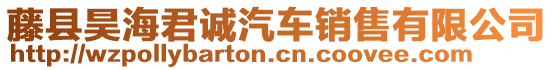 藤縣昊海君誠汽車銷售有限公司