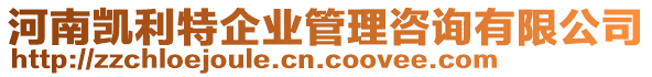 河南凱利特企業(yè)管理咨詢有限公司