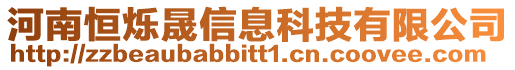 河南恒爍晟信息科技有限公司