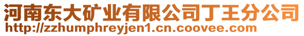 河南東大礦業(yè)有限公司丁王分公司