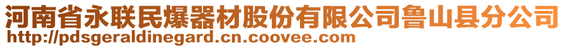 河南省永聯(lián)民爆器材股份有限公司魯山縣分公司