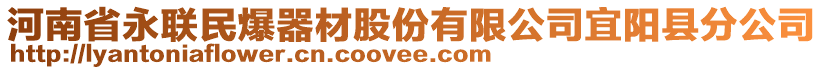 河南省永聯(lián)民爆器材股份有限公司宜陽縣分公司