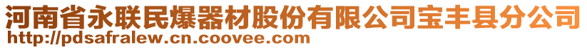 河南省永聯(lián)民爆器材股份有限公司寶豐縣分公司