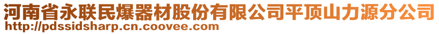 河南省永聯(lián)民爆器材股份有限公司平頂山力源分公司