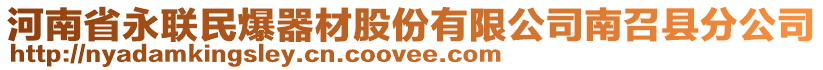 河南省永聯(lián)民爆器材股份有限公司南召縣分公司