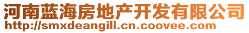 河南藍(lán)海房地產(chǎn)開(kāi)發(fā)有限公司