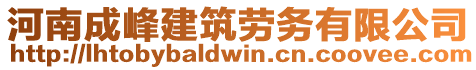 河南成峰建筑勞務(wù)有限公司