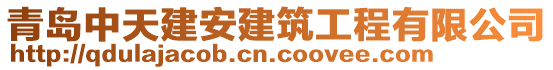 青島中天建安建筑工程有限公司