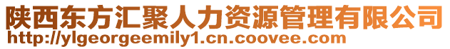 陜西東方匯聚人力資源管理有限公司