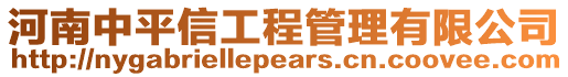 河南中平信工程管理有限公司