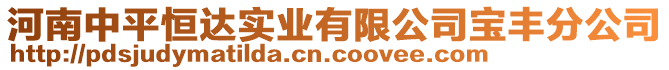 河南中平恒達(dá)實(shí)業(yè)有限公司寶豐分公司