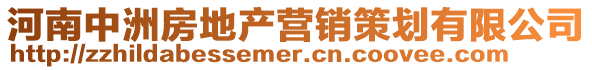 河南中洲房地產營銷策劃有限公司
