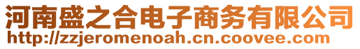 河南盛之合電子商務有限公司