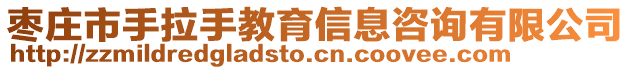 棗莊市手拉手教育信息咨詢有限公司