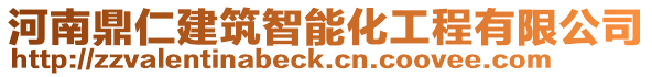 河南鼎仁建筑智能化工程有限公司