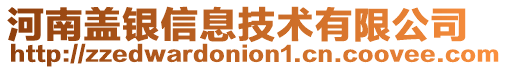 河南蓋銀信息技術有限公司