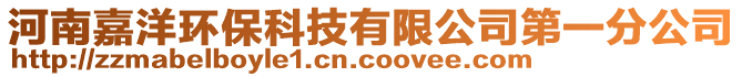 河南嘉洋環(huán)保科技有限公司第一分公司